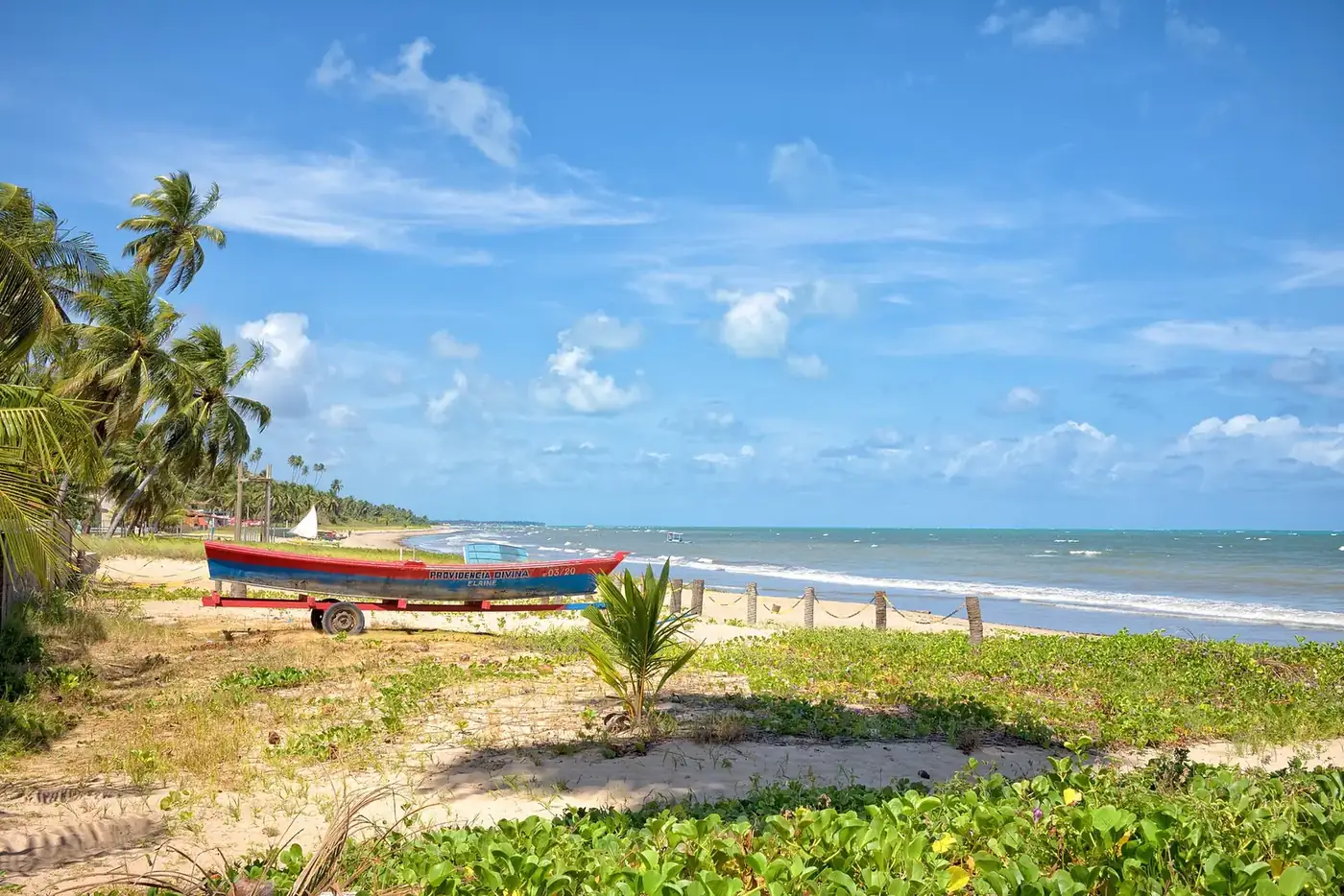 Praia do Nordeste com jangada colorida e coqueiros