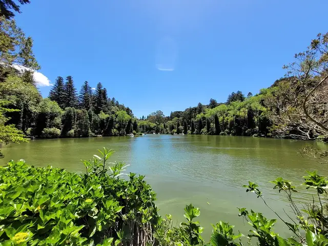 Lago Negro, em Gramado, cercado de pinheiros